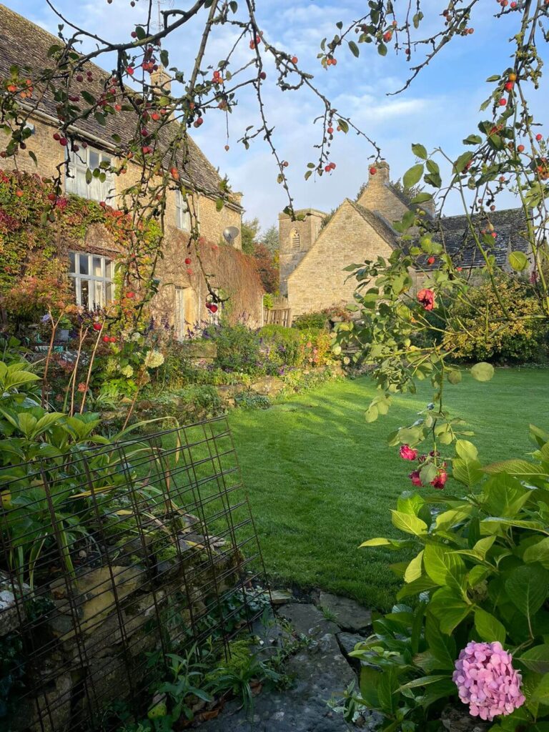 WhatsApp Image 2021-11-12 at 12.12.07