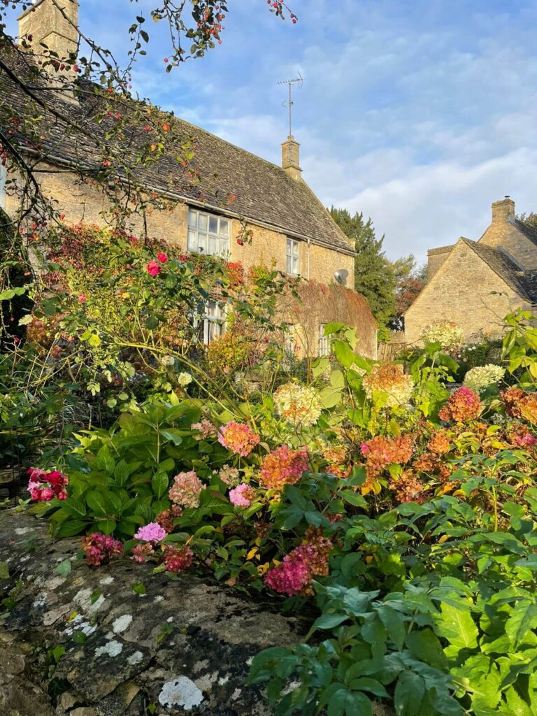 WhatsApp Image 2021-11-12 at 12.12.08