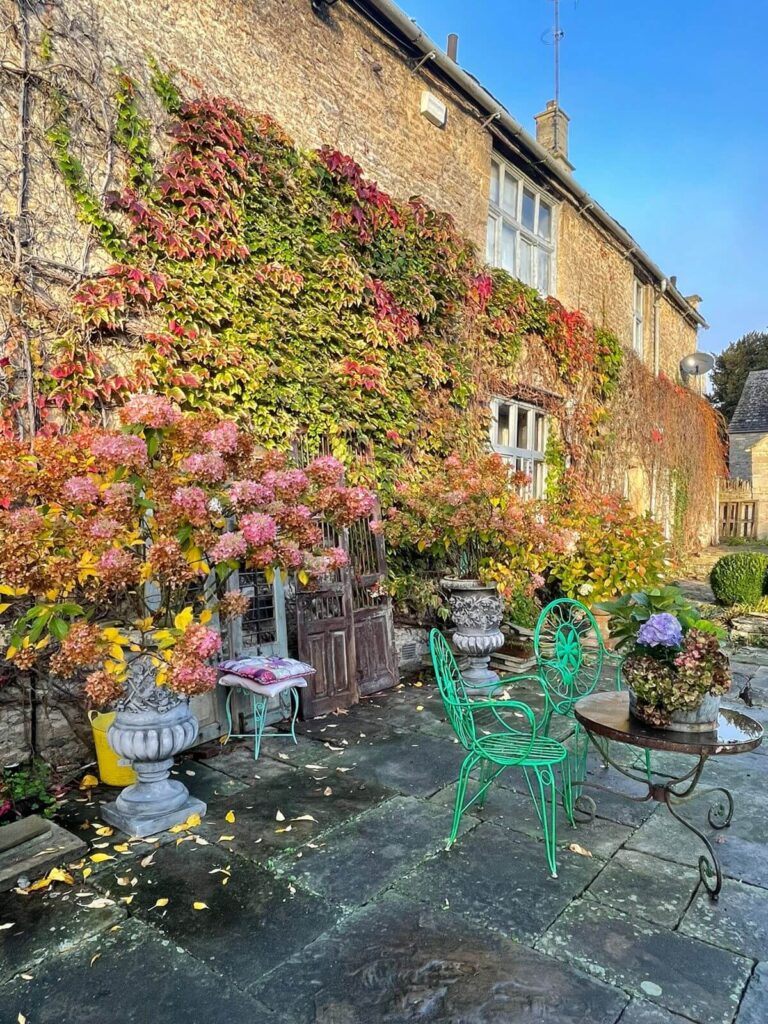 WhatsApp Image 2021-11-12 at 12.12.17 (1)