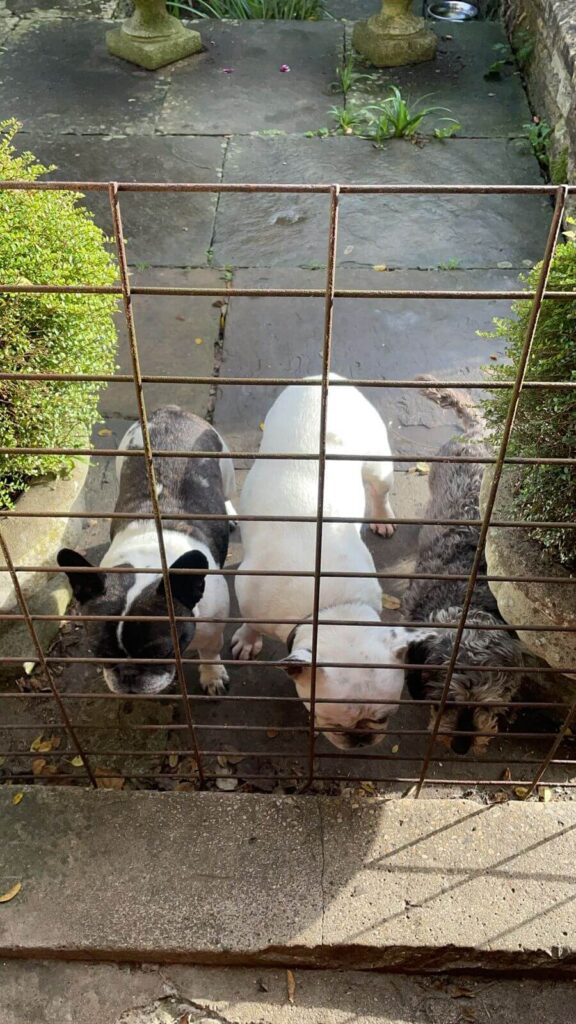 WhatsApp Image 2021-11-12 at 12.12.18 (1)