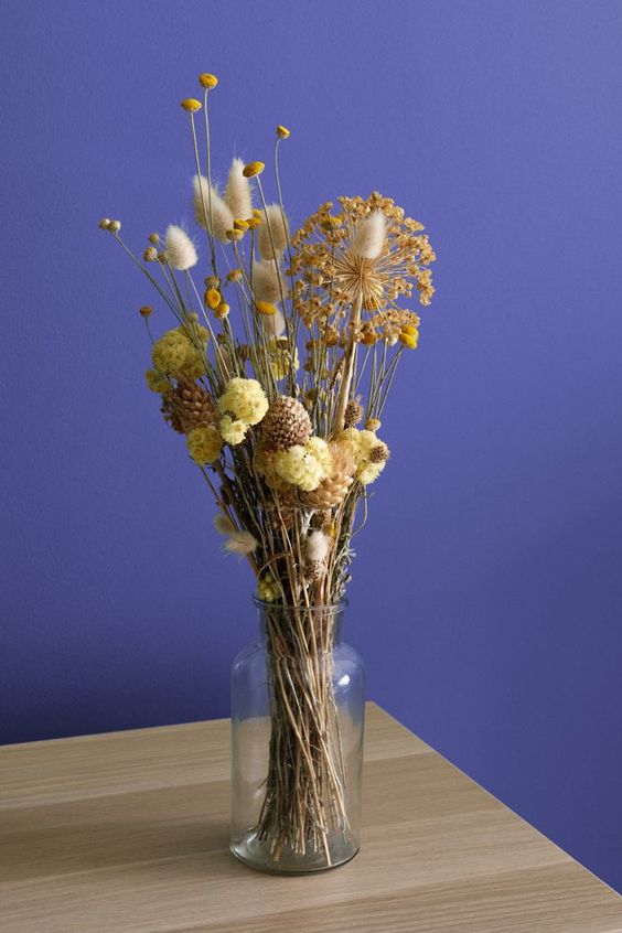 8468d967c9bf8a10889546a044a23117